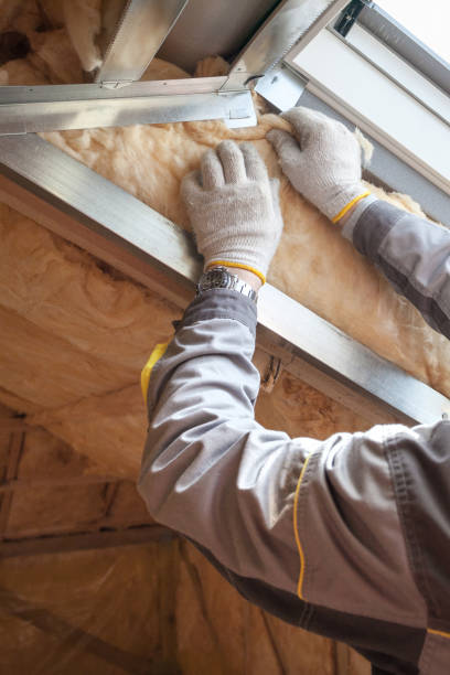 Best Attic Insulation Installation  in Kennedale, TX